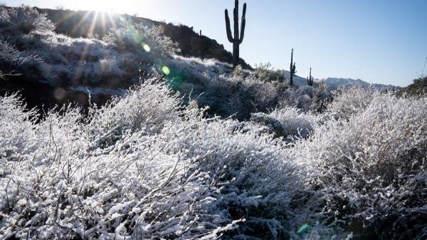 亚利桑那州停电图：冬季风暴导致电力中断